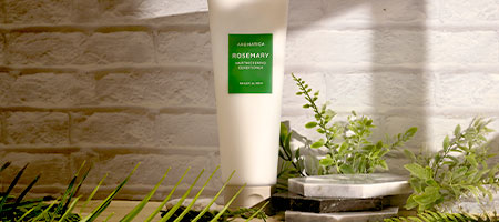 AROMATICA